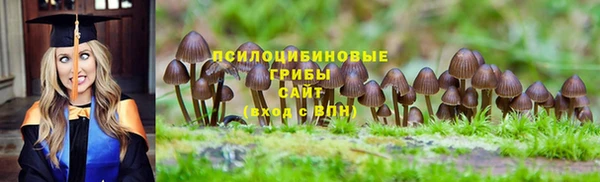 MDMA Premium VHQ Нефтегорск
