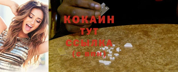 соль ск Арсеньев