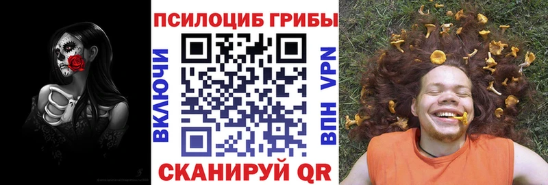 Псилоцибиновые грибы Cubensis купить закладку Великие Луки